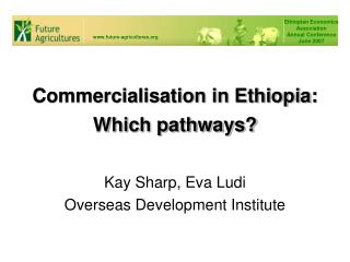 Commercialisation in Ethiopia: Which pathways?