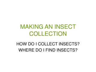 MAKING AN INSECT COLLECTION