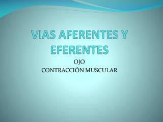 VIAS AFERENTES Y EFERENTES