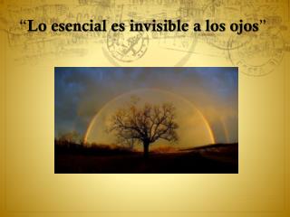 “ Lo esencial es invisible a los ojos ”