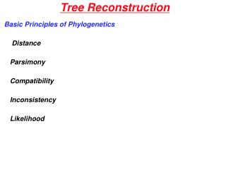 Tree Reconstruction