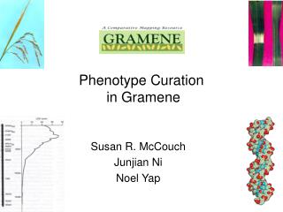 Phenotype Curation in Gramene