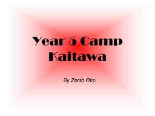 Year 5 Camp Kaitawa