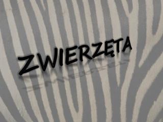 ZWIERZĘTA