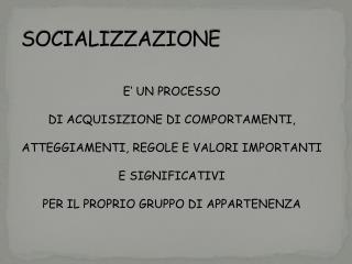 SOCIALIZZAZIONE