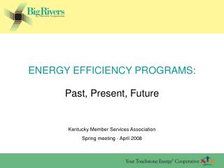 ENERGY EFFICIENCY PROGRAMS: