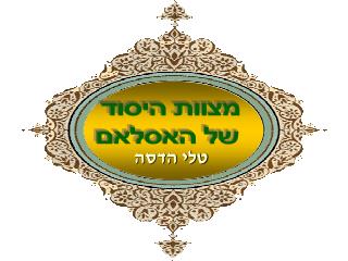 טלי הדסה
