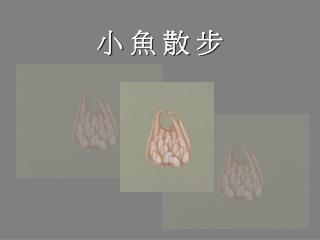 小 魚 散 步