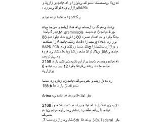 جﺮﮐ ﺪﺣاو ﯽﻣﻼﺳا دازآ هﺎﮕﺸﻧاد ﺪﺷرا ﯽﺳﺎﻨﺷرﺎﮐ يﺎﻫ ﻪﻣﺎﻧ نﺎﯾﺎﭘ