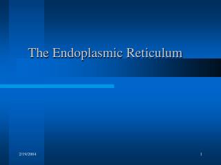 The Endoplasmic Reticulum