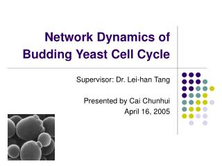 Network Dynamics of Budding Yeast Cell Cycle