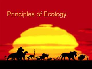 Principles of Ecology