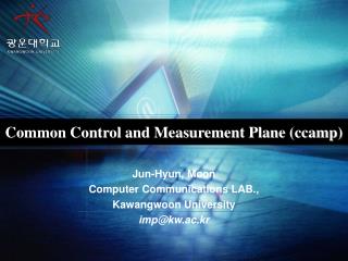 Common Control and Measurement Plane (ccamp)
