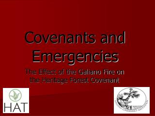 Covenants and Emergencies