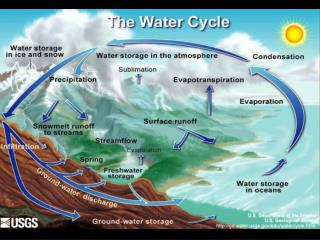 THE WATER CYCLE : COMPARTMENT AND RENOVATION RATE