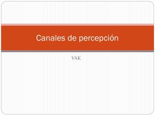 Canales de percepción