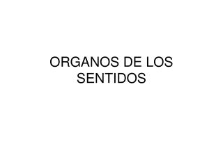 ORGANOS DE LOS SENTIDOS