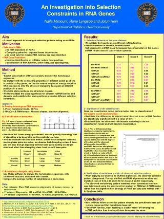 An Investigation into Selection Constraints in RNA Genes