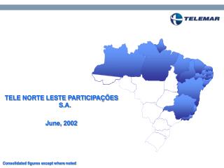 TELE NORTE LESTE PARTICIPAÇÕES S.A. June, 2002