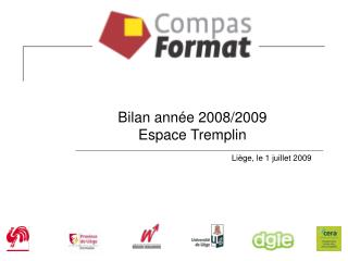 Bilan année 2008/2009 Espace Tremplin