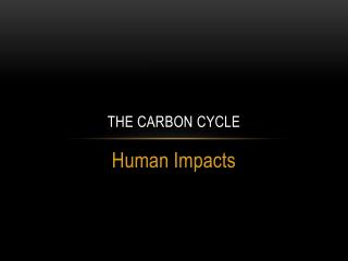 The carbon cycle