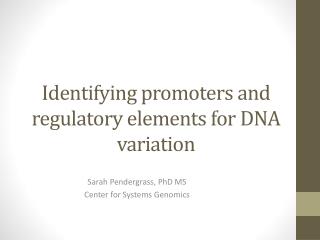 Identifying promoters and regulatory elements for DNA variation