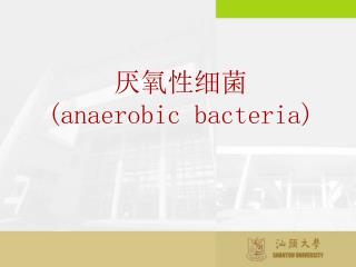厌氧性细菌 (anaerobic bacteria)