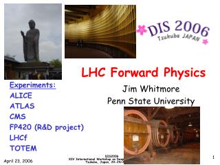 LHC Forward Physics