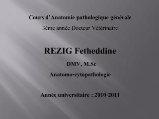 Cours d’Anatomie pathologique générale 3ème année Docteur Vétérinaire REZIG Fetheddine DMV, M.Sc
