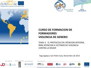 TEMA 3: 	EL PROTOCOLO DE ATENCION INTEGRAL PARA ATENCION A VICTIMAS DE VIOLENCIA CONTRA LA MUJER