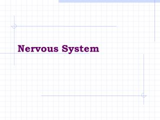 Nervous System