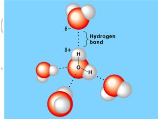 Water: The “universal solvent”