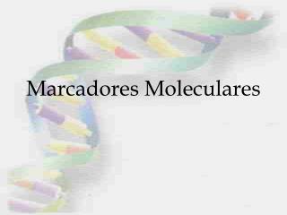 Marcadores Moleculares
