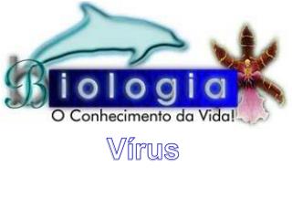 Vírus