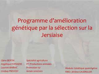 Programme d’amélioration génétique par la sélection sur la Jersiaise