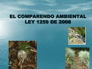 EL COMPARENDO AMBIENTAL LEY 1259 DE 2008