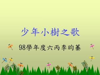 少年小樹之歌
