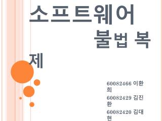 소프트웨어 불 법 복 제