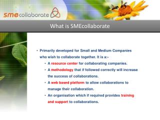What is SMEcollaborate