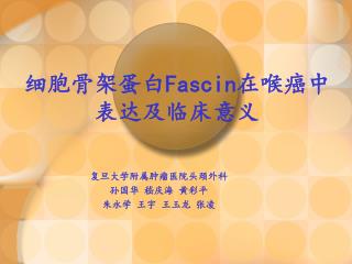 细胞骨架蛋白 Fascin 在喉癌中表达及临床意义