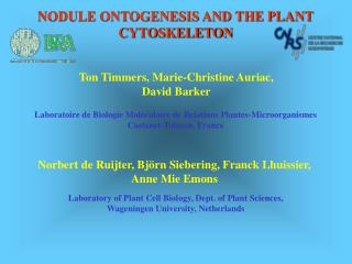 Laboratoire de Biologie Moléculaire de Relations Plantes-Microorganismes Castanet-Tolosan, France