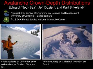 Avalanche Crown-Depth Distributions