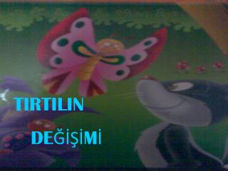 TIRTILIN DEĞİŞİMİ