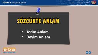 TÜRKÇE / Sözcükte Anlam