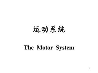 运动系统 The Motor System