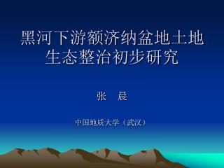 黑河下游额济纳盆地土地生态整治初步研究