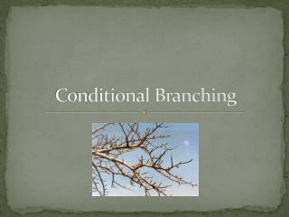 Conditional Branching