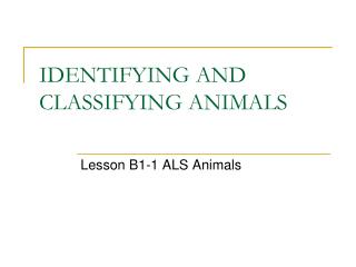 IDENTIFYING AND CLASSIFYING ANIMALS