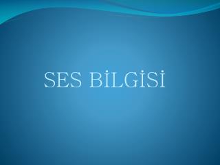 SES BİLGİSİ