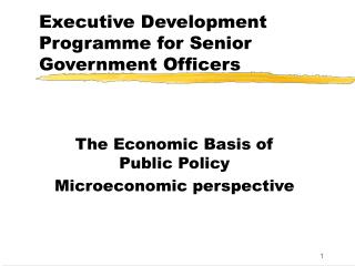 Executive Development Programme for Senior Government Officers